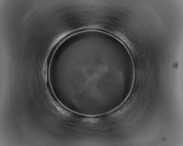 X0000098191127200804241238