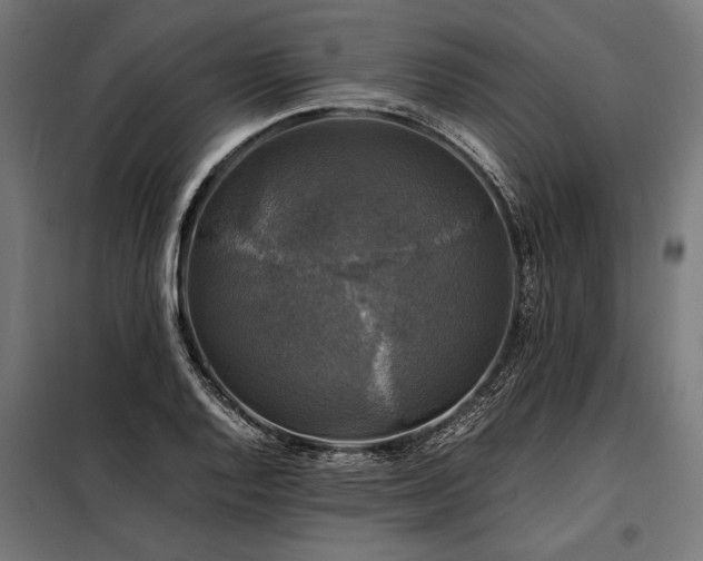 X0000098191128200804241238