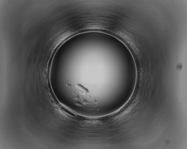 X0000098191129200804241238