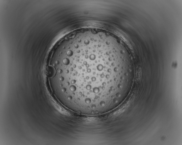 X0000098191130200804241238