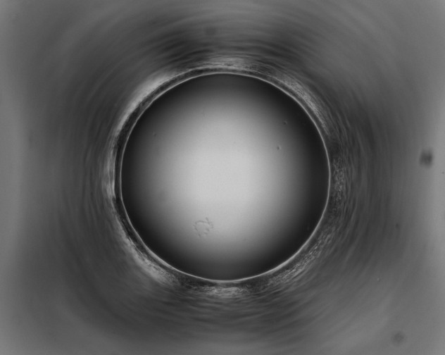 X0000098191131200804241238