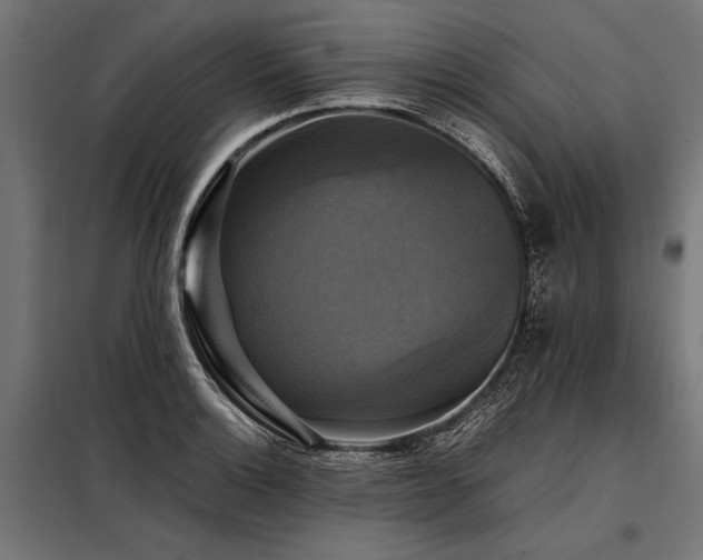 X0000098191132200804241238
