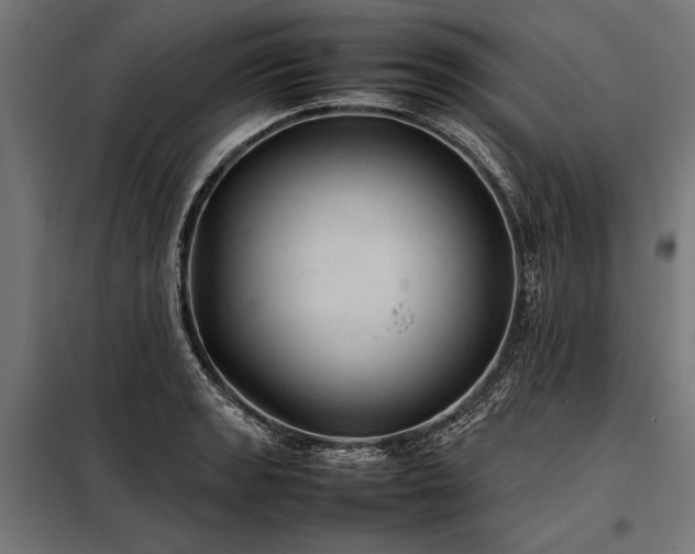 X0000098191133200804241238
