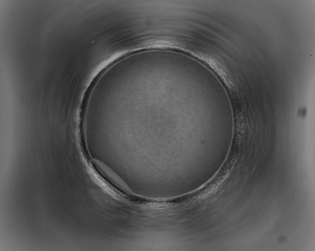 X0000098191134200804241238