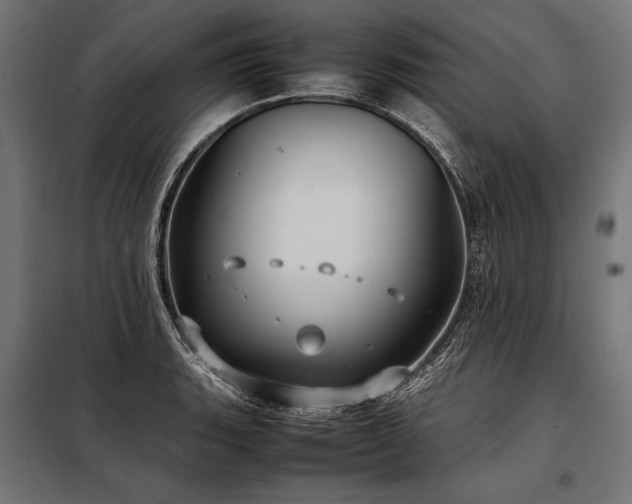 X0000098191135200804241238