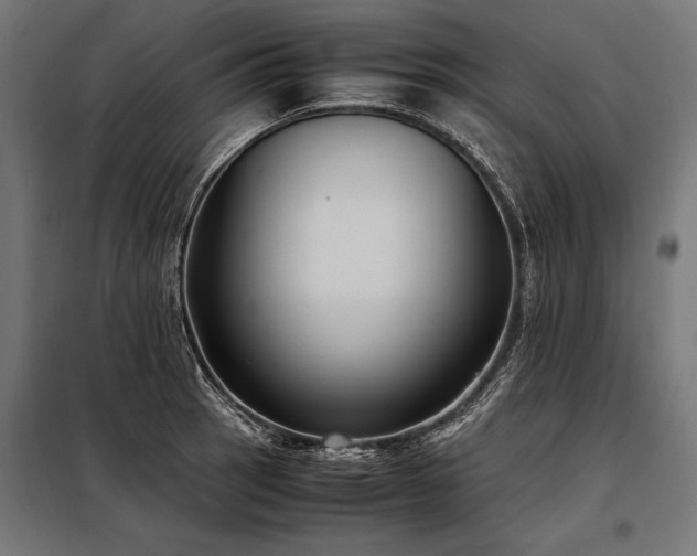 X0000098191137200804241238