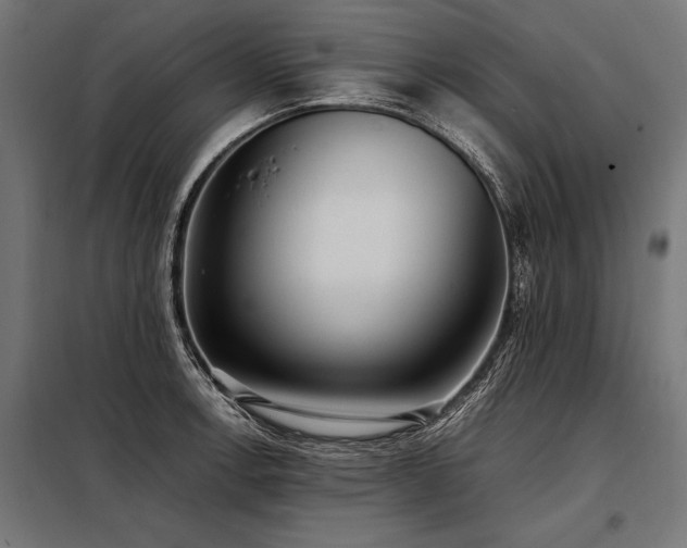 X0000098191138200804241238