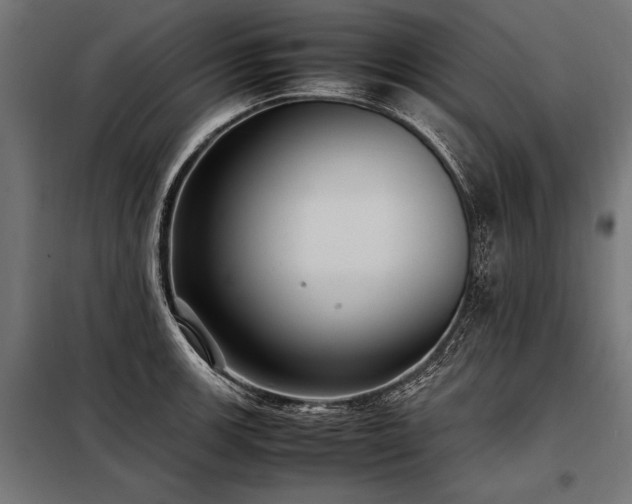 X0000098191139200804241238