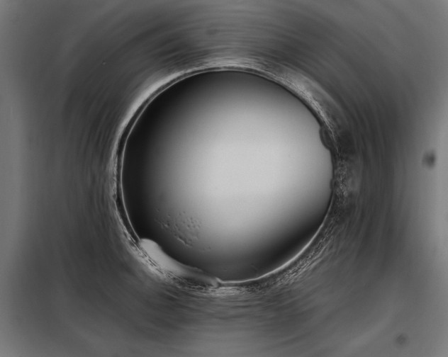 X0000098191140200804241238