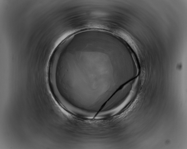 X0000098191141200804241238