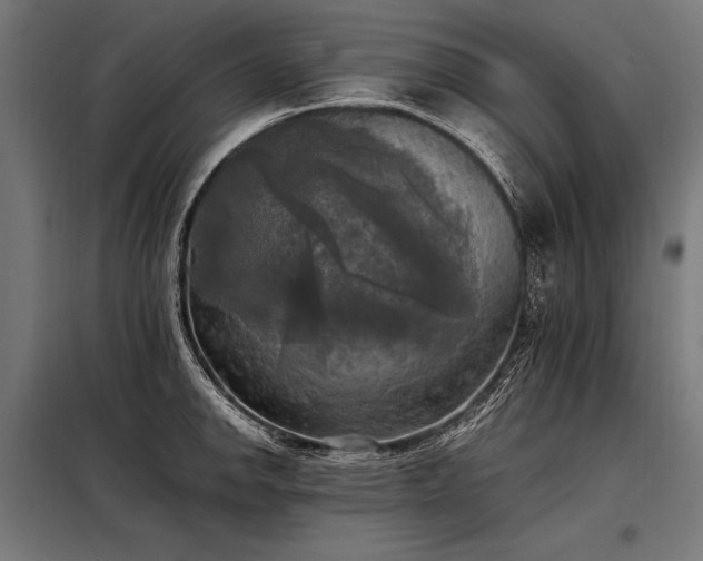 X0000098191142200804241238