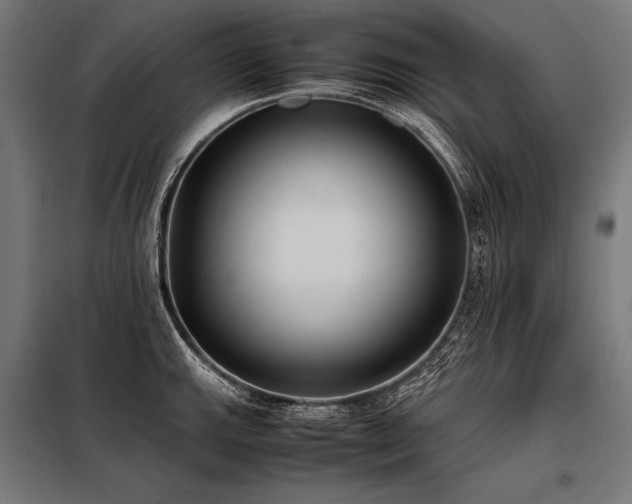 X0000098191143200804241238