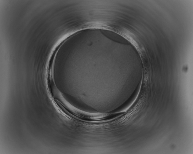 X0000098191144200804241238