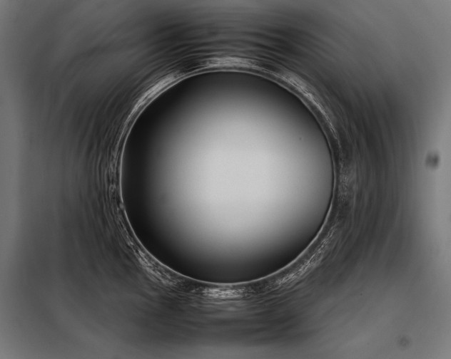 X0000098191145200804241238
