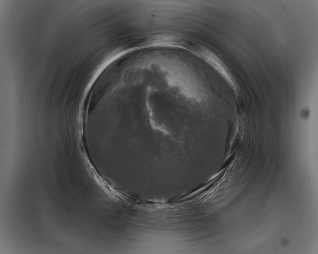 X0000098191148200804241238