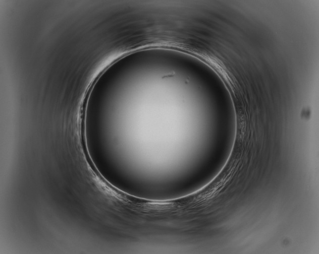 X0000098191151200804241238