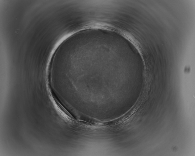 X0000098191152200804241238