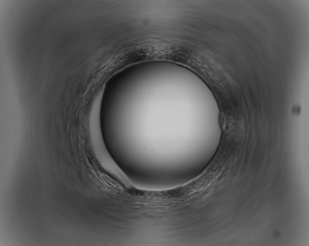 X0000098191153200804241238