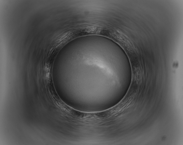 X0000098191154200804241238