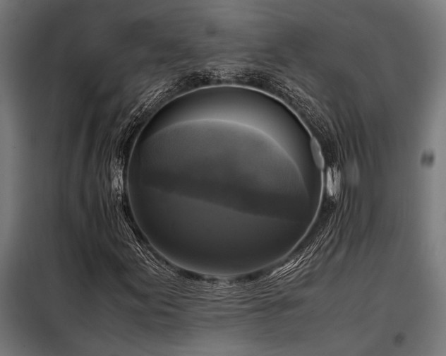 X0000098191155200804241238