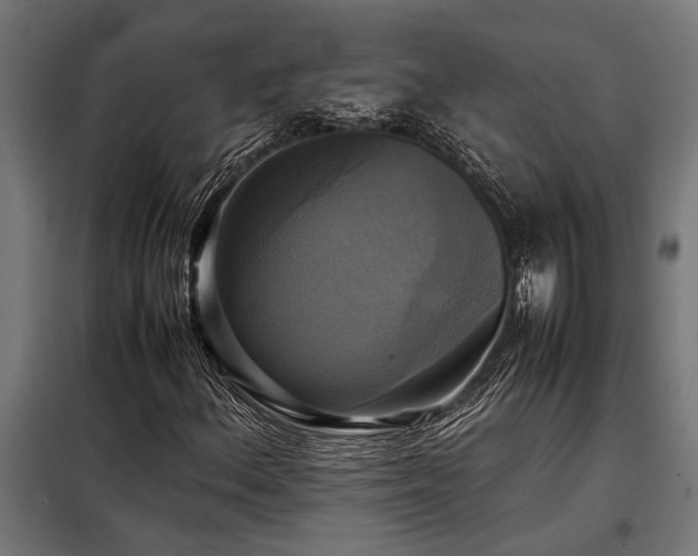 X0000098191156200804241238