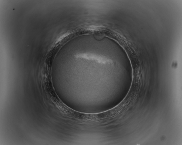 X0000098191158200804241237