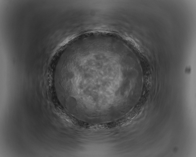 X0000098191159200804241237