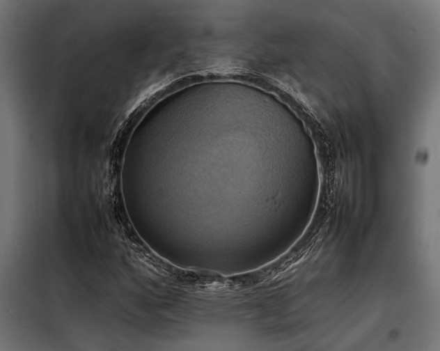 X0000098191160200804241237