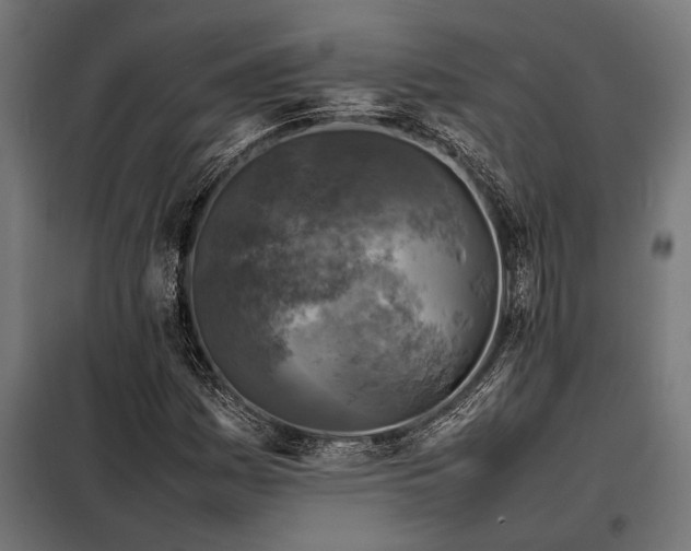 X0000098191161200804241237