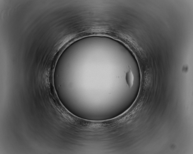 X0000098191162200804241237