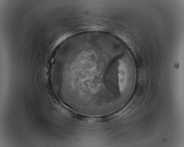 X0000098191163200804241237