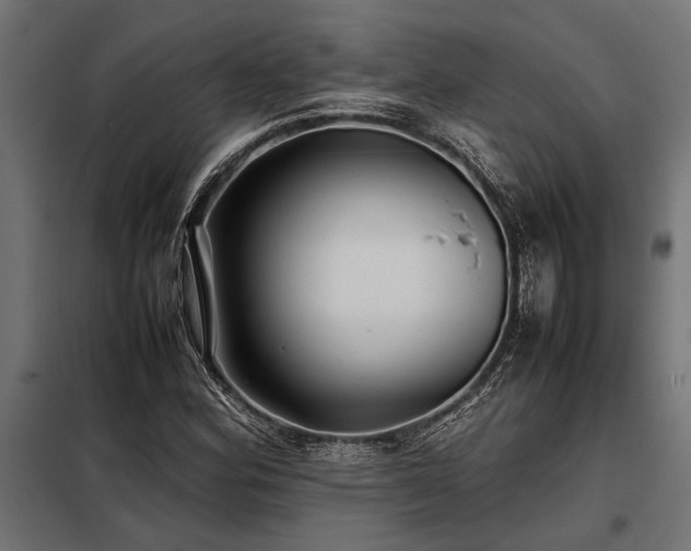 X0000098191164200804241237