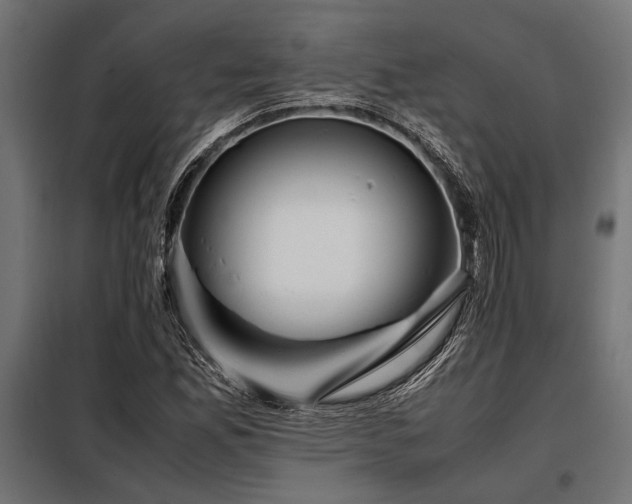 X0000098191165200804241237