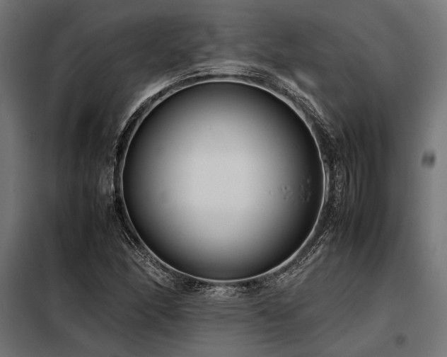 X0000098191166200804241237