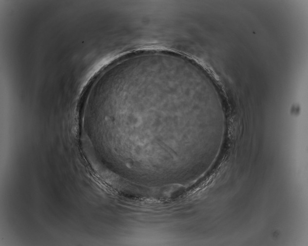 X0000098191167200804241237