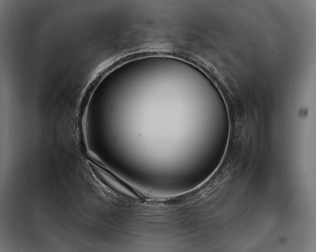X0000098191168200804241237