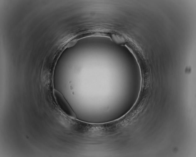 X0000098191169200804241237