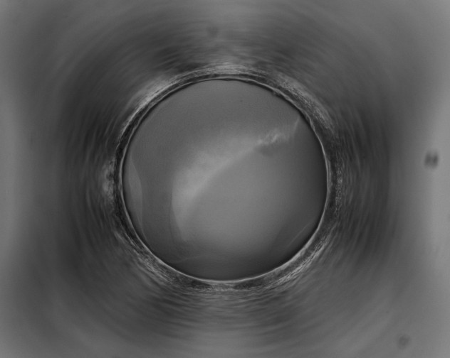 X0000098191170200804241237