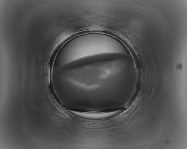 X0000098191171200804241237