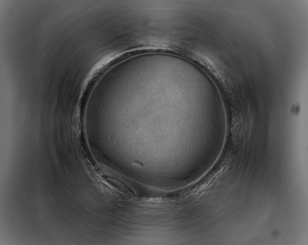 X0000098191172200804241237