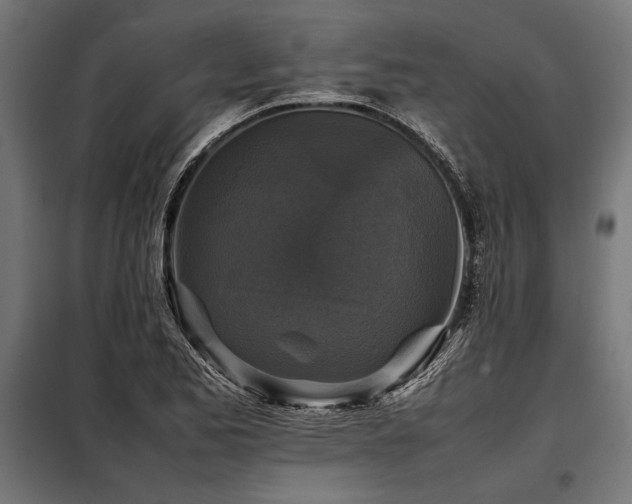 X0000098191173200804241237