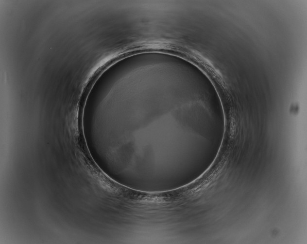 X0000098191174200804241237
