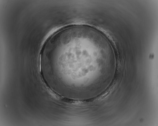 X0000098191175200804241237