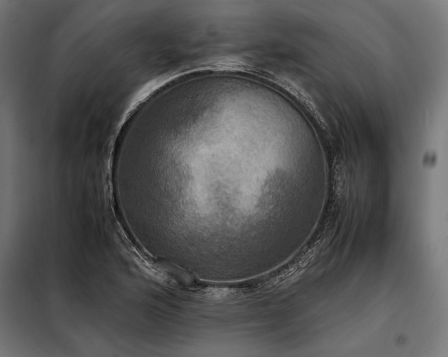 X0000098191176200804241237