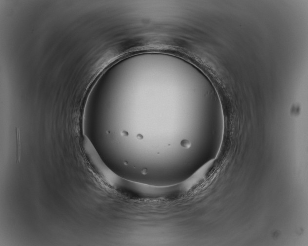 X0000098191177200804241237