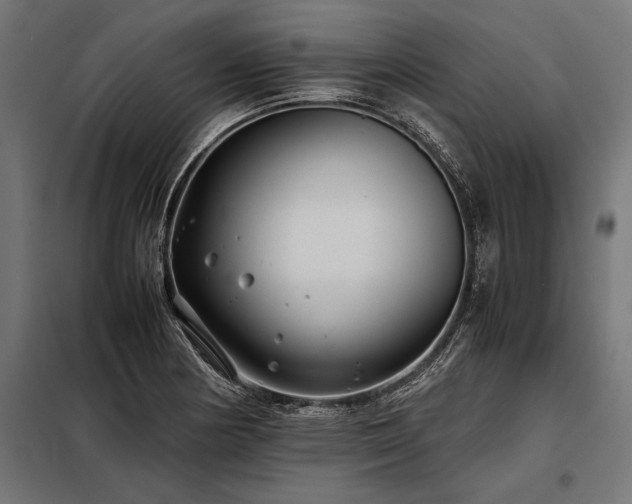 X0000098191178200804241237