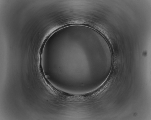 X0000098191179200804241237