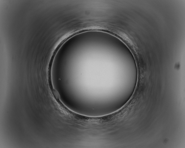 X0000098191181200804241237
