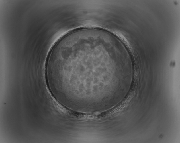 X0000098191183200804241237