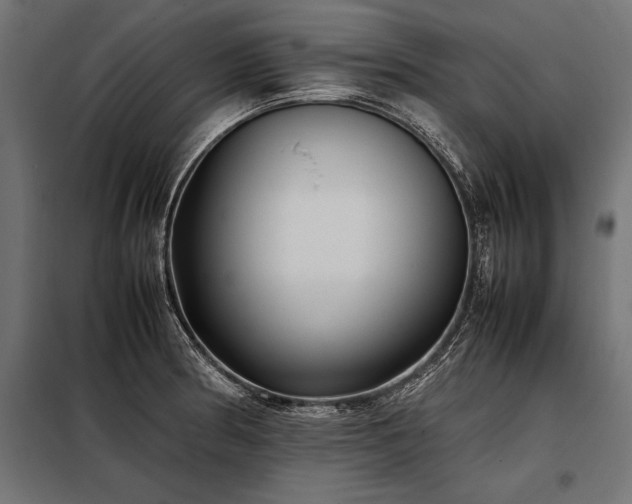 X0000098191186200804241237